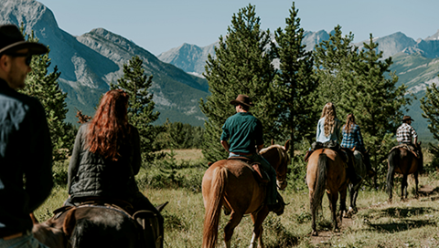Horseback Trail Ride through alpine meadows with stunning 360 views of the mountain landscape close to Banff and Canmore, Alberta