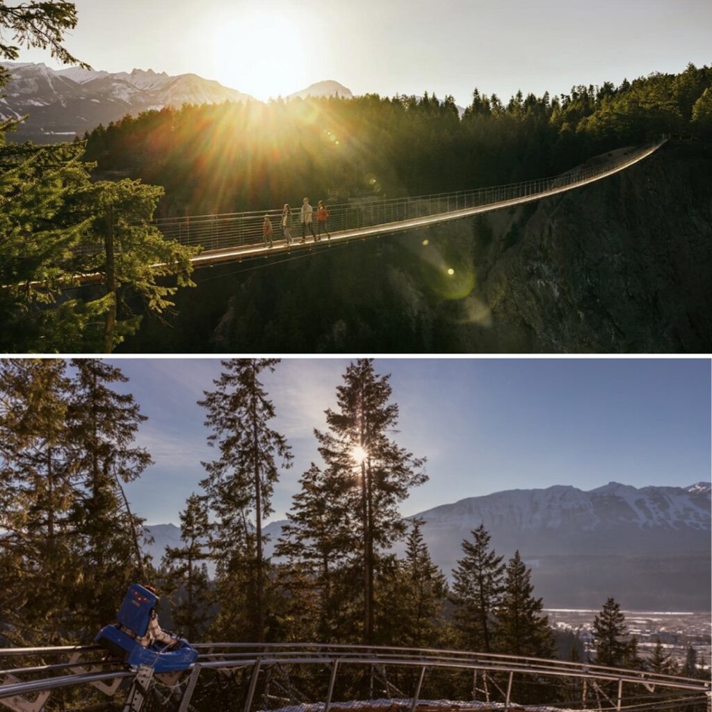 Top portion of the photo features one of the two suspension bridges as the sun sets behind the mountains.
Bottom portion of the photo features a section of the mountain coaster showing the view of forest and mountains