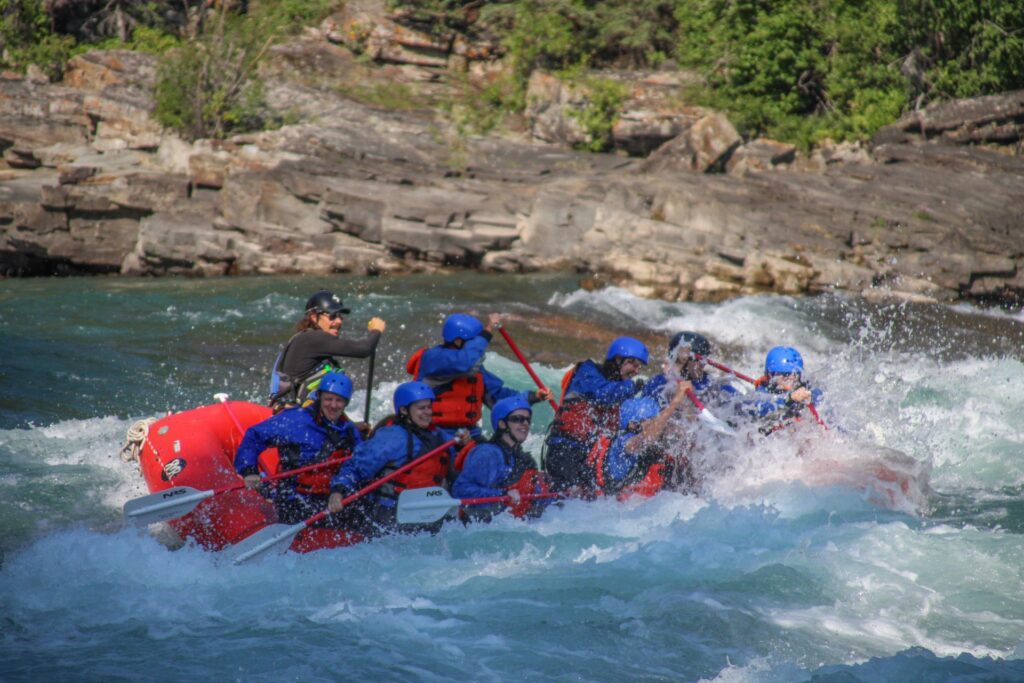 Rafters paddling through whitewater