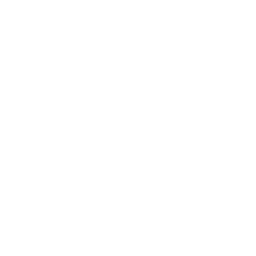 search search