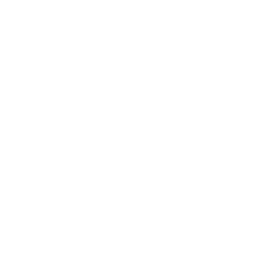 sleigh Sleigh Icon